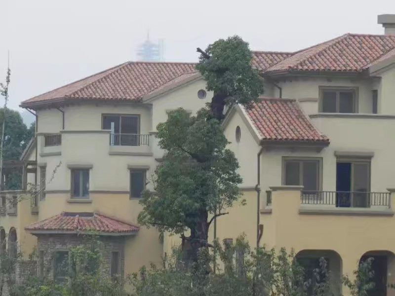 0328f868b5444dd7d642adb899fd8c5e - 副本.jpg